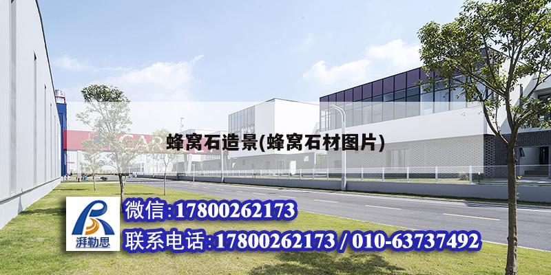 蜂窩石造景(蜂窩石材圖片) 結(jié)構(gòu)工業(yè)裝備施工