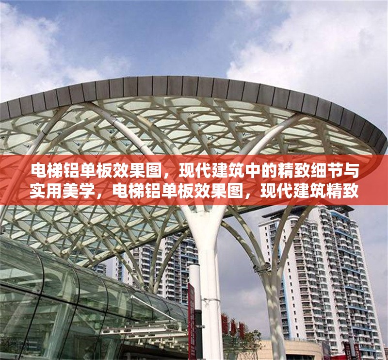 電梯鋁單板效果圖，現(xiàn)代建筑中的精致細(xì)節(jié)與實(shí)用美學(xué)，電梯鋁單板效果圖，現(xiàn)代建筑精致細(xì)節(jié)與實(shí)用美學(xué)的