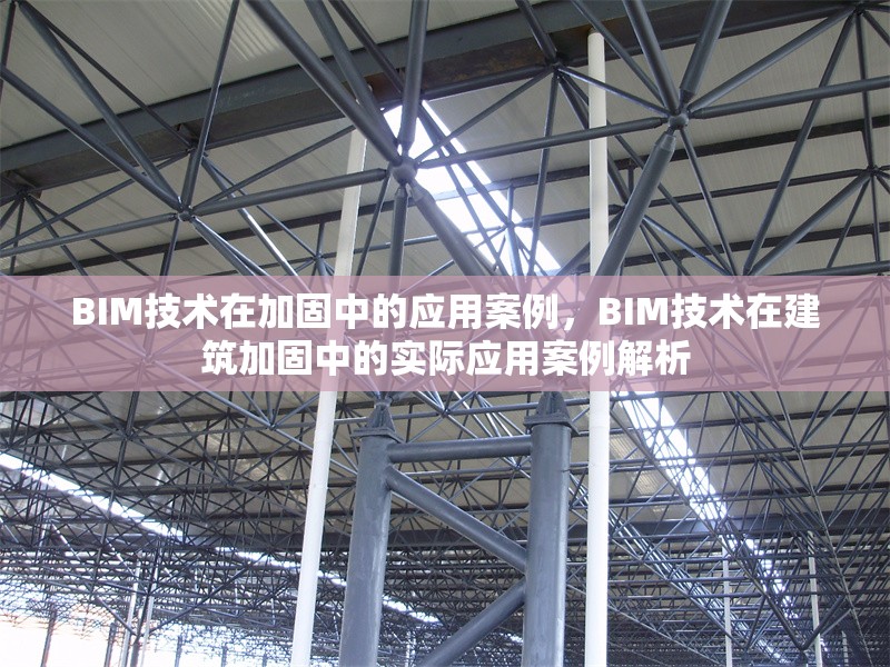 BIM技術(shù)在加固中的應(yīng)用案例，BIM技術(shù)在建筑加固中的實(shí)際應(yīng)用案例解析