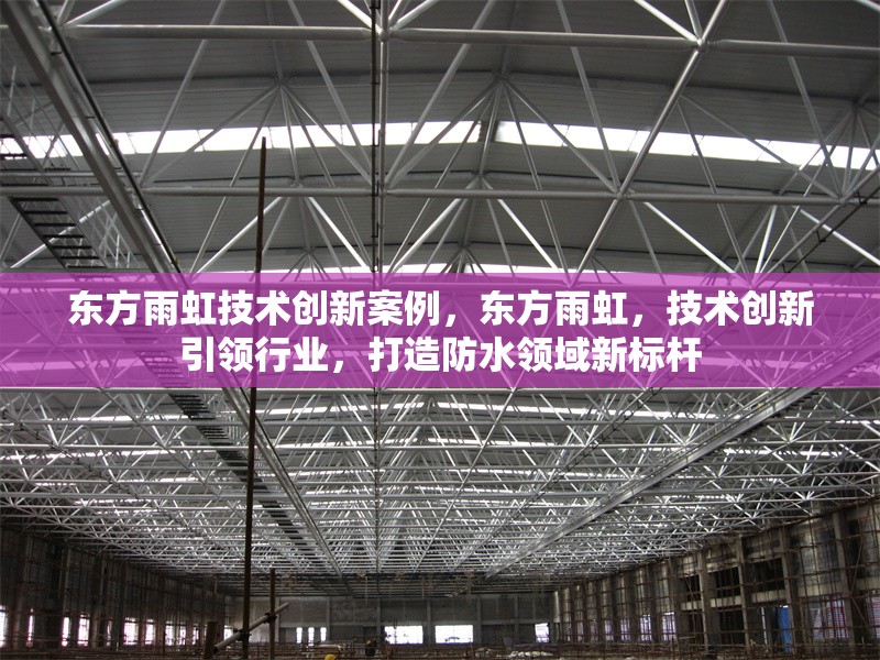 東方雨虹技術(shù)創(chuàng)新案例，東方雨虹，技術(shù)創(chuàng)新引領(lǐng)行業(yè)，打造防水領(lǐng)域新標(biāo)桿