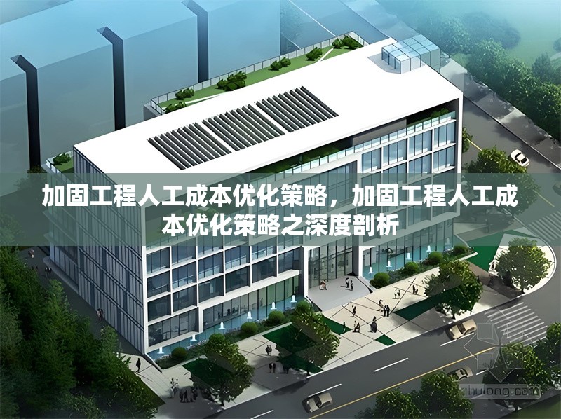 加固工程人工成本優(yōu)化策略，加固工程人工成本優(yōu)化策略之深度剖析