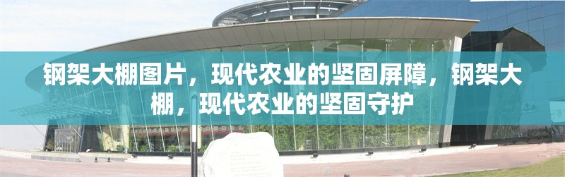 鋼架大棚圖片，現(xiàn)代農(nóng)業(yè)的堅固屏障，鋼架大棚，現(xiàn)代農(nóng)業(yè)的堅固守護 行業(yè)新聞