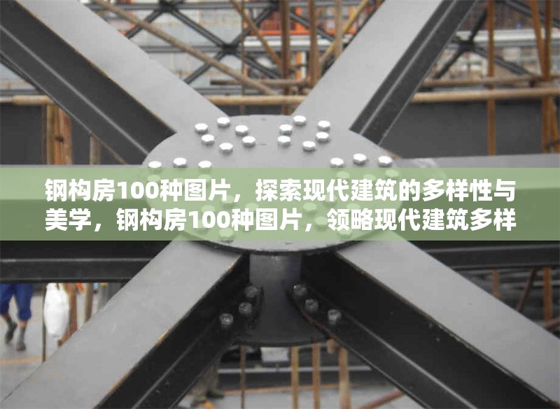 鋼構(gòu)房100種圖片，探索現(xiàn)代建筑的多樣性與美學(xué)，鋼構(gòu)房100種圖片，領(lǐng)略現(xiàn)代建筑多樣美學(xué)