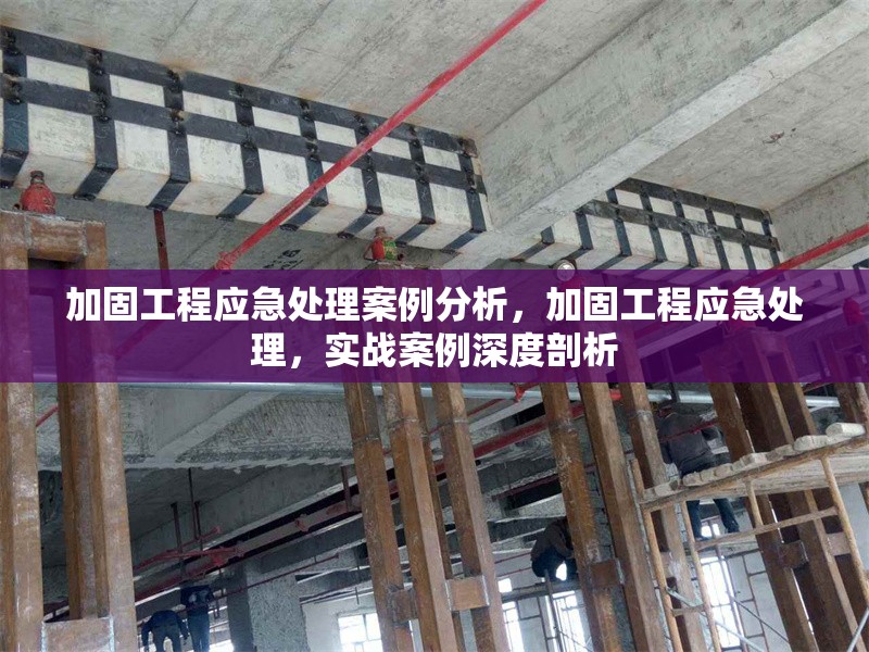 加固工程應(yīng)急處理案例分析，加固工程應(yīng)急處理，實(shí)戰(zhàn)案例深度剖析 行業(yè)新聞 第1張