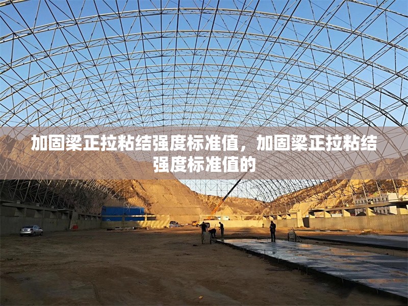建筑檢測技術與標準對比
