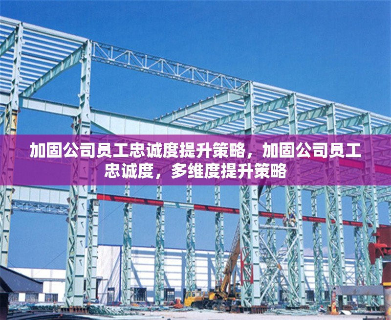 加固公司員工忠誠度提升策略，加固公司員工忠誠度，多維度提升策略