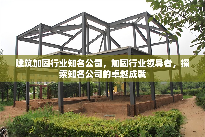建筑加固行業(yè)知名公司，加固行業(yè)領(lǐng)導(dǎo)者，探索知名公司的卓越成就 行業(yè)新聞 第1張