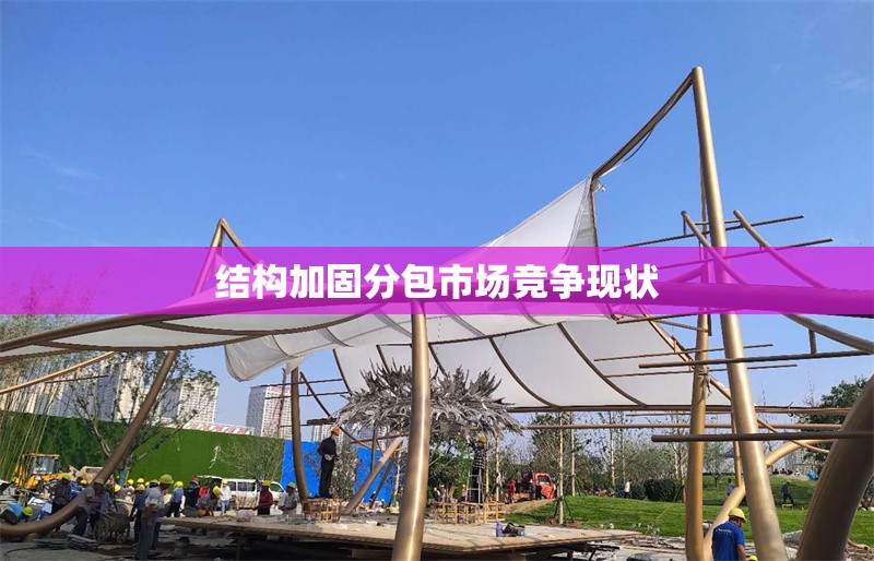 結(jié)構(gòu)加固分包市場競爭現(xiàn)狀 行業(yè)新聞