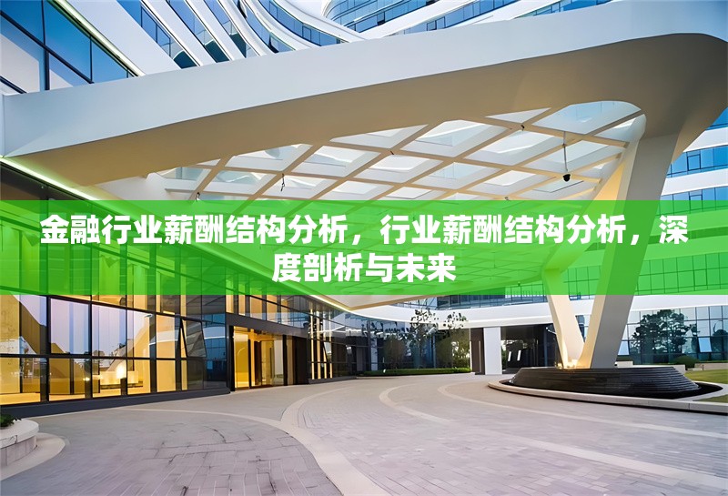 金融行業(yè)薪酬結(jié)構(gòu)分析，行業(yè)薪酬結(jié)構(gòu)分析，深度剖析與未來