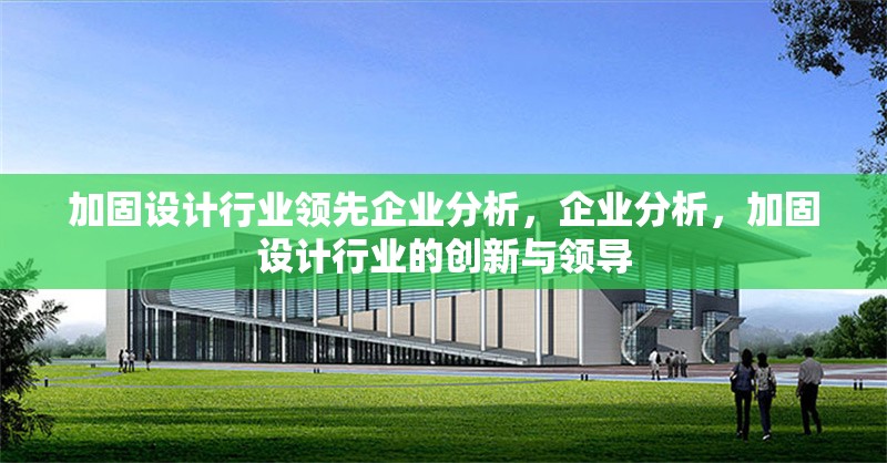 加固設(shè)計行業(yè)領(lǐng)先企業(yè)分析，企業(yè)分析，加固設(shè)計行業(yè)的創(chuàng)新與領(lǐng)導(dǎo)