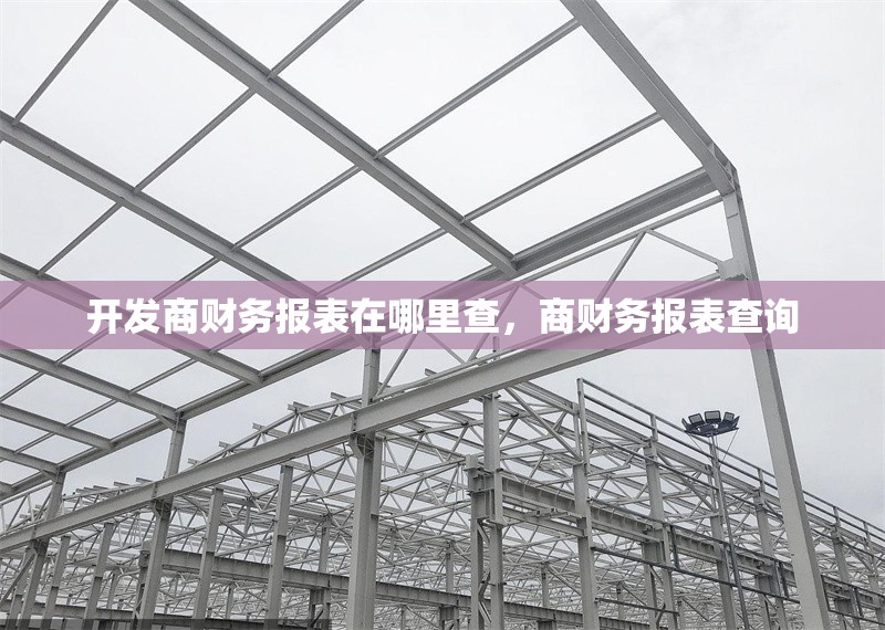 開發(fā)商財務報表在哪里查，商財務報表查詢