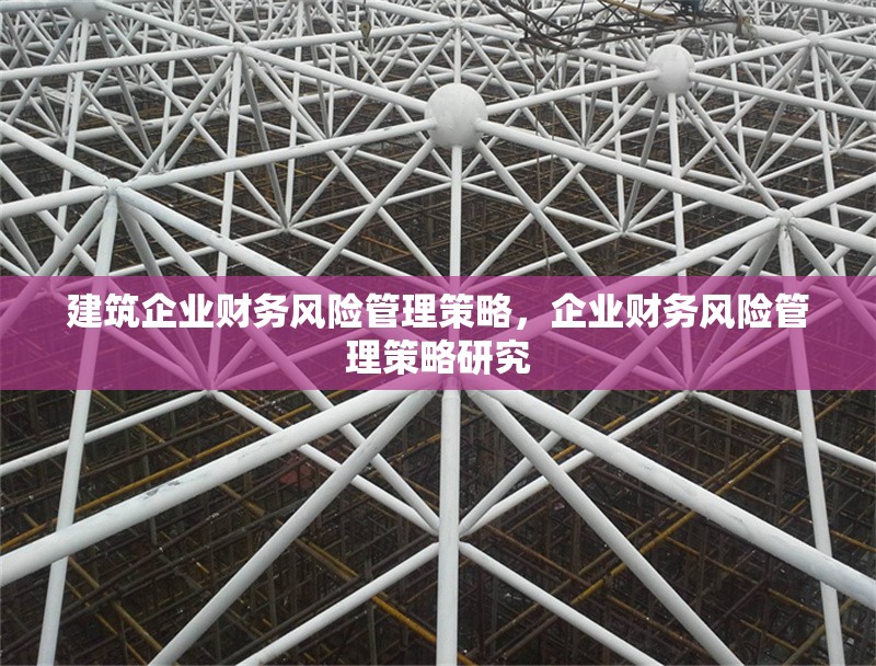 建筑企業(yè)財務風險管理策略，企業(yè)財務風險管理策略研究