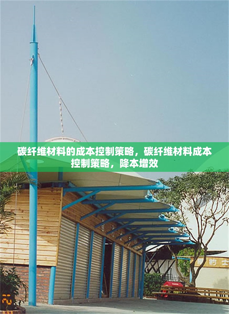 碳纖維材料的成本控制策略，碳纖維材料成本控制策略，降本增效 行業(yè)新聞 第6張