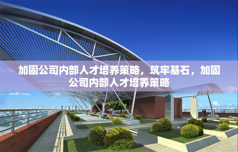 加固公司內(nèi)部人才培養(yǎng)策略，筑牢基石，加固公司內(nèi)部人才培養(yǎng)策略 行業(yè)新聞 第6張