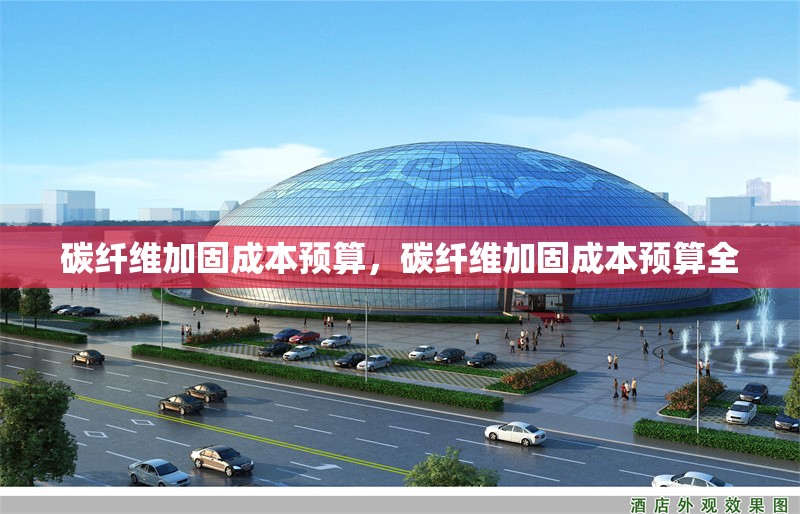 碳纖維加固成本預(yù)算，碳纖維加固成本預(yù)算全 行業(yè)新聞 第6張