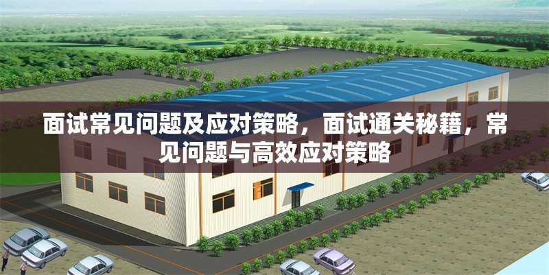 面試常見問題及應對策略，面試通關秘籍，常見問題與高效應對策略 行業(yè)新聞 第6張