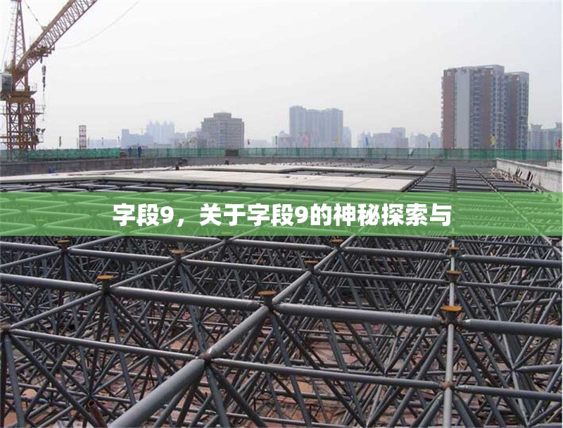 字段9，關于字段9的神秘探索與 行業(yè)新聞 第6張