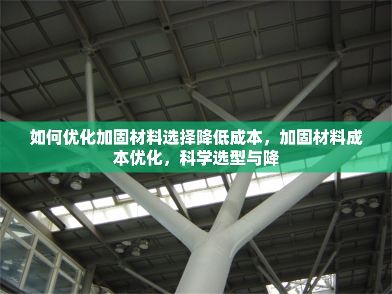 如何優(yōu)化加固材料選擇降低成本，加固材料成本優(yōu)化，科學(xué)選型與降 行業(yè)新聞 第6張