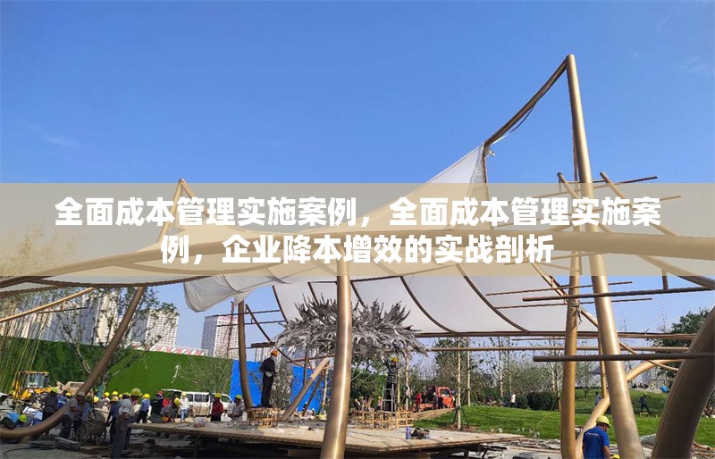 全面成本管理實(shí)施案例，全面成本管理實(shí)施案例，企業(yè)降本增效的實(shí)戰(zhàn)剖析，企業(yè)全面成本管理實(shí)戰(zhàn)案例，降本增效深度剖析