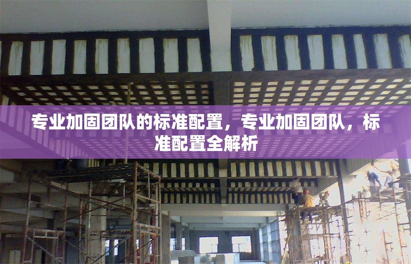 專業(yè)加固團(tuán)隊(duì)的標(biāo)準(zhǔn)配置，專業(yè)加固團(tuán)隊(duì)，標(biāo)準(zhǔn)配置全解析 行業(yè)新聞 第6張