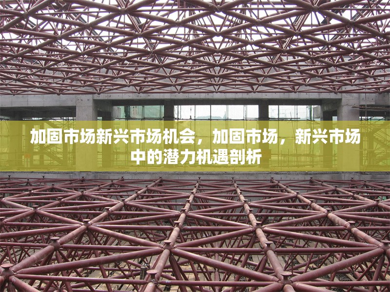 加固市場(chǎng)新興市場(chǎng)機(jī)會(huì)，加固市場(chǎng)，新興市場(chǎng)中的潛力機(jī)遇剖析 行業(yè)新聞 第6張