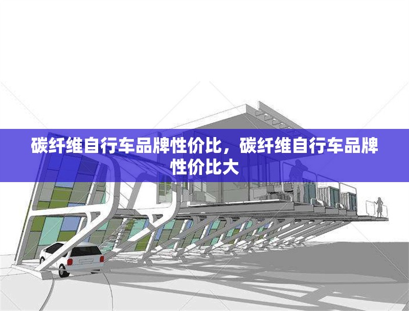 碳纖維自行車品牌性價(jià)比，碳纖維自行車品牌性價(jià)比大 行業(yè)新聞 第6張