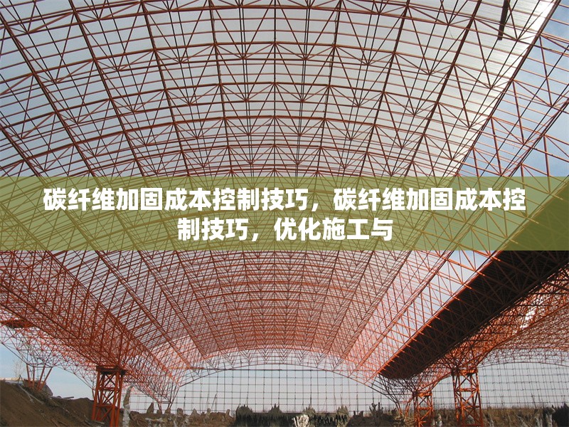 碳纖維加固成本控制技巧，碳纖維加固成本控制技巧，優(yōu)化施工與 行業(yè)新聞 第1張