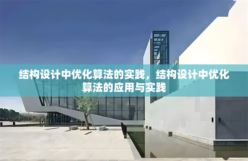 結(jié)構(gòu)設(shè)計(jì)中優(yōu)化算法的實(shí)踐，結(jié)構(gòu)設(shè)計(jì)中優(yōu)化算法的應(yīng)用與實(shí)踐