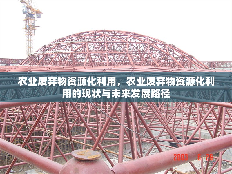 農(nóng)業(yè)廢棄物資源化利用，農(nóng)業(yè)廢棄物資源化利用的現(xiàn)狀與未來發(fā)展路徑 行業(yè)新聞 第1張