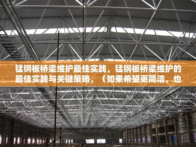 錳鋼板橋梁維護(hù)最佳實(shí)踐，錳鋼板橋梁維護(hù)的最佳實(shí)踐與關(guān)鍵策略，（如果希望更簡(jiǎn)潔，也可以調(diào)整為，錳鋼板橋梁維護(hù)最佳實(shí)踐指南） 行業(yè)新聞 第1張