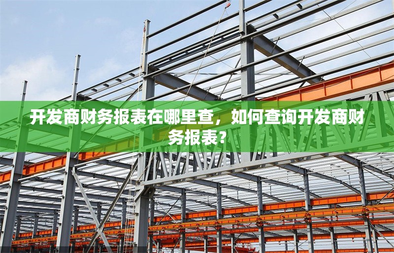 開發(fā)商財(cái)務(wù)報(bào)表在哪里查，如何查詢開發(fā)商財(cái)務(wù)報(bào)表？ 行業(yè)新聞 第1張