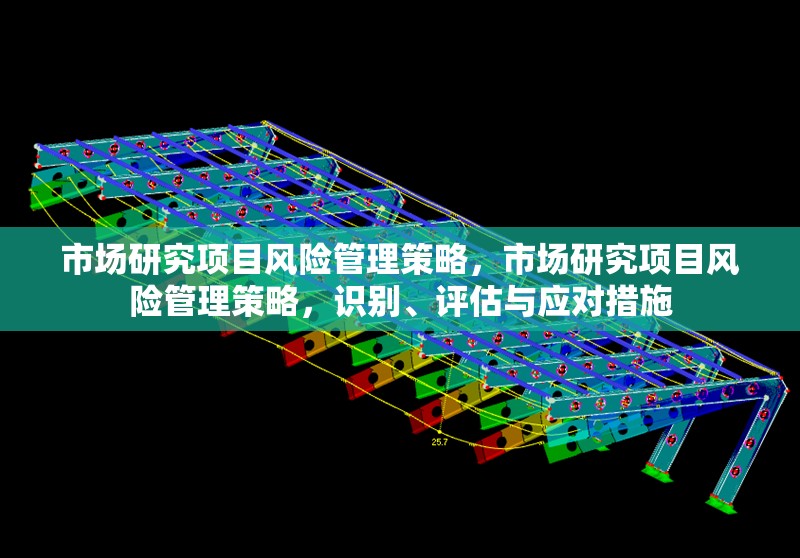 市場研究項目風(fēng)險管理策略，市場研究項目風(fēng)險管理策略，識別、評估與應(yīng)對措施