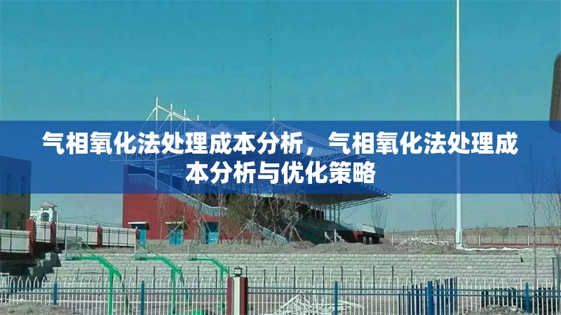 氣相氧化法處理成本分析，氣相氧化法處理成本分析與優(yōu)化策略，氣相氧化法處理成本分析與優(yōu)化策略