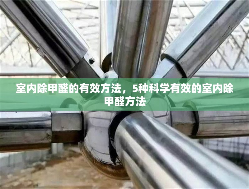 室內(nèi)除甲醛的有效方法，5種科學有效的室內(nèi)除甲醛方法 行業(yè)新聞 第1張