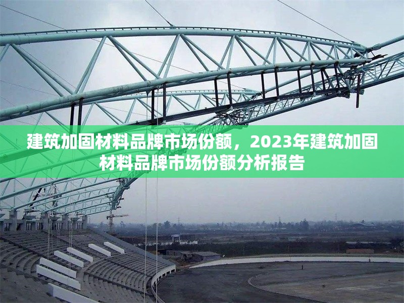 建筑加固材料品牌市場份額，2023年建筑加固材料品牌市場份額分析報告，2023年中國建筑加固材料品牌市場份額分析報告 行業(yè)新聞 第1張