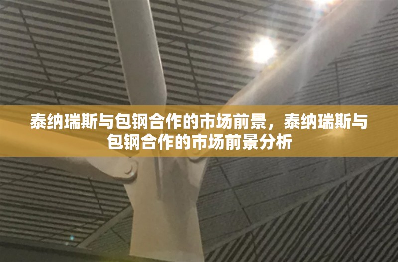 泰納瑞斯與包鋼合作的市場前景，泰納瑞斯與包鋼合作的市場前景分析，泰納瑞斯與包鋼合作的市場前景分析