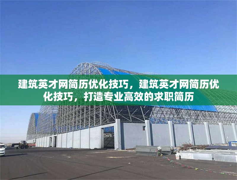 建筑英才網(wǎng)簡(jiǎn)歷優(yōu)化技巧，建筑英才網(wǎng)簡(jiǎn)歷優(yōu)化技巧，打造專業(yè)高效的求職簡(jiǎn)歷 行業(yè)新聞 第1張