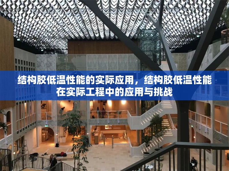 結(jié)構(gòu)膠低溫性能的實際應(yīng)用，結(jié)構(gòu)膠低溫性能在實際工程中的應(yīng)用與挑戰(zhàn)