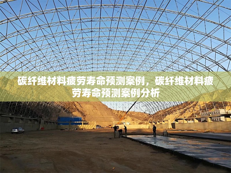 碳纖維材料疲勞壽命預(yù)測(cè)案例，碳纖維材料疲勞壽命預(yù)測(cè)案例分析