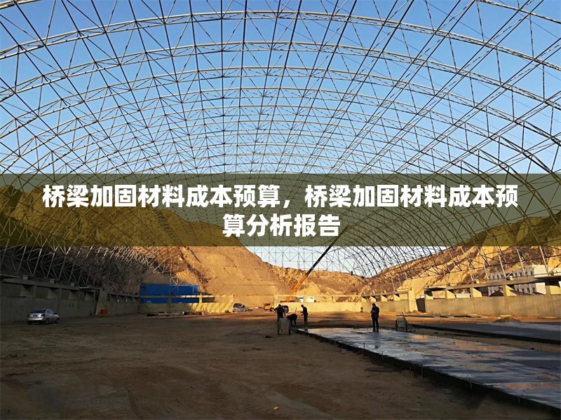 橋梁加固材料成本預(yù)算，橋梁加固材料成本預(yù)算分析報(bào)告