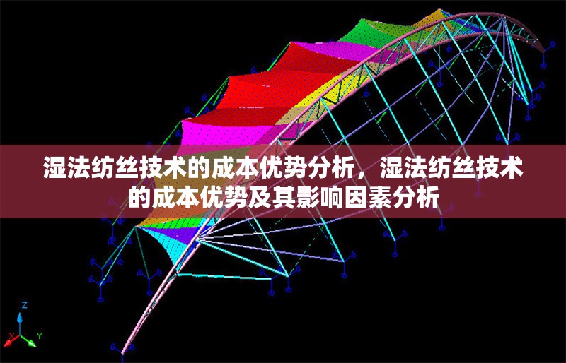 濕法紡絲技術(shù)的成本優(yōu)勢分析，濕法紡絲技術(shù)的成本優(yōu)勢及其影響因素分析