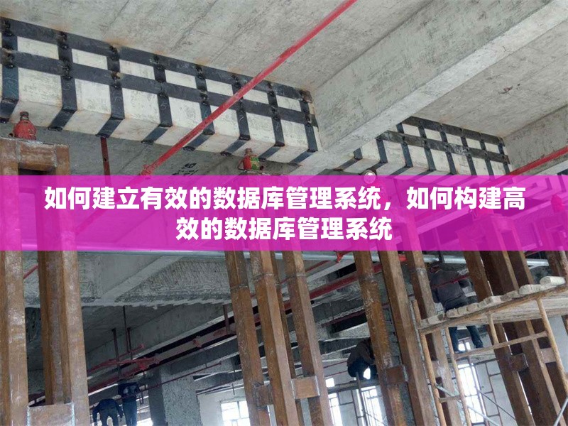 如何建立有效的數(shù)據(jù)庫管理系統(tǒng)，如何構(gòu)建高效的數(shù)據(jù)庫管理系統(tǒng) 行業(yè)新聞 第1張