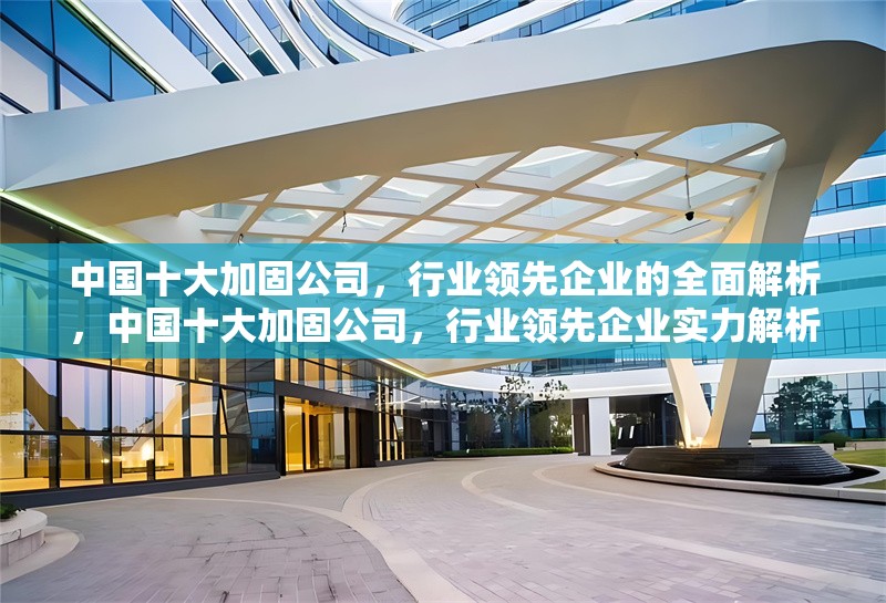 中國(guó)十大加固公司，行業(yè)領(lǐng)先企業(yè)的全面解析，中國(guó)十大加固公司，行業(yè)領(lǐng)先企業(yè)實(shí)力解析