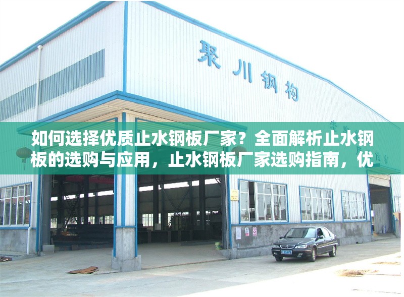 如何選擇優(yōu)質(zhì)止水鋼板廠家？全面解析止水鋼板的選購與應用，止水鋼板廠家選購指南，優(yōu)質(zhì)產(chǎn)品挑選與使用全解析