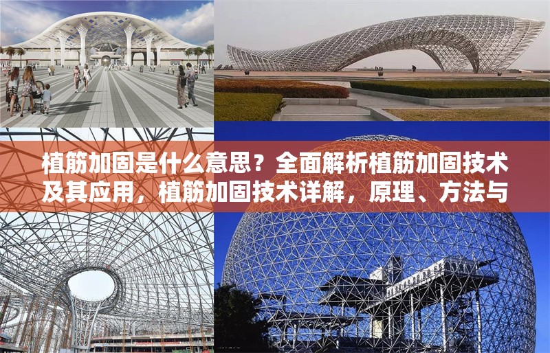 植筋加固是什么意思？全面解析植筋加固技術及其應用，植筋加固技術詳解，原理、方法與應用場景全解析