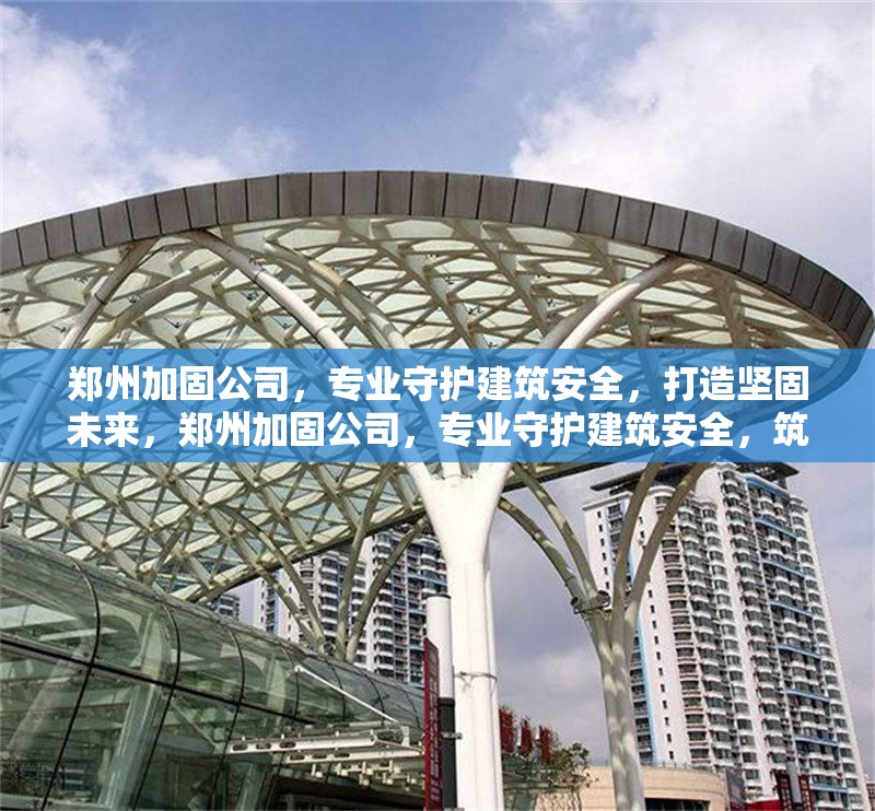 鄭州加固公司，專業(yè)守護(hù)建筑安全，打造堅固未來，鄭州加固公司，專業(yè)守護(hù)建筑安全，筑就堅固未來
