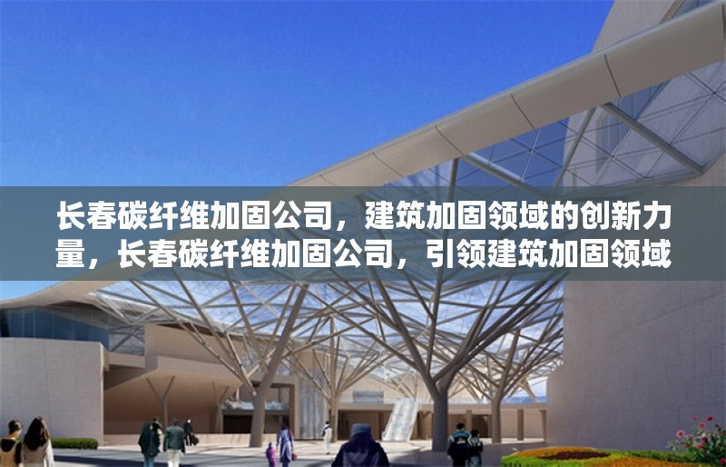 長(zhǎng)春碳纖維加固公司，建筑加固領(lǐng)域的創(chuàng)新力量，長(zhǎng)春碳纖維加固公司，引領(lǐng)建筑加固領(lǐng)域的創(chuàng)新先鋒