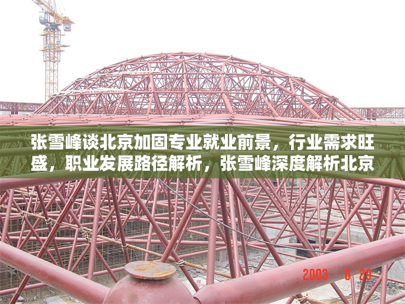 張雪峰談北京加固專業(yè)就業(yè)前景，行業(yè)需求旺盛，職業(yè)發(fā)展路徑解析，張雪峰深度解析北京加固專業(yè)就業(yè)前景，行業(yè)需求旺盛與職業(yè)發(fā)展路徑