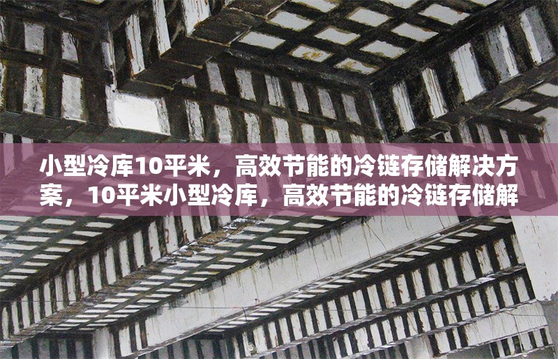 小型冷庫10平米，高效節(jié)能的冷鏈存儲(chǔ)解決方案，10平米小型冷庫，高效節(jié)能的冷鏈存儲(chǔ)解決方案 行業(yè)新聞