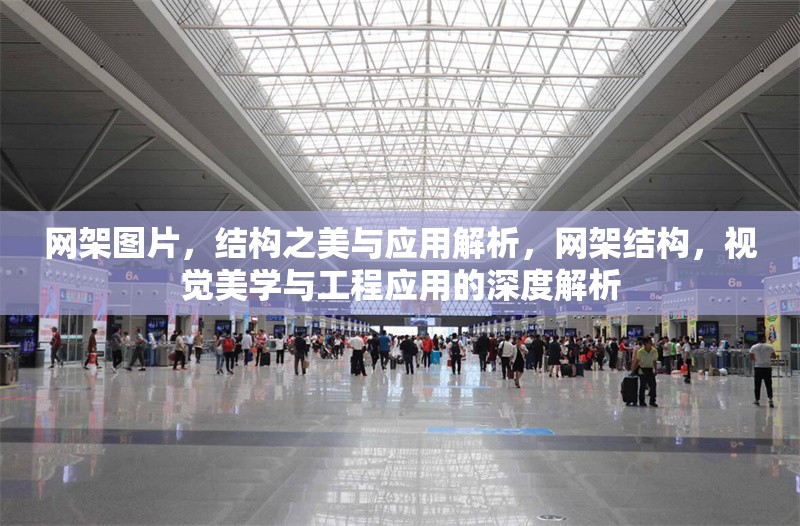 網(wǎng)架圖片，結(jié)構(gòu)之美與應(yīng)用解析，網(wǎng)架結(jié)構(gòu)，視覺美學(xué)與工程應(yīng)用的深度解析
